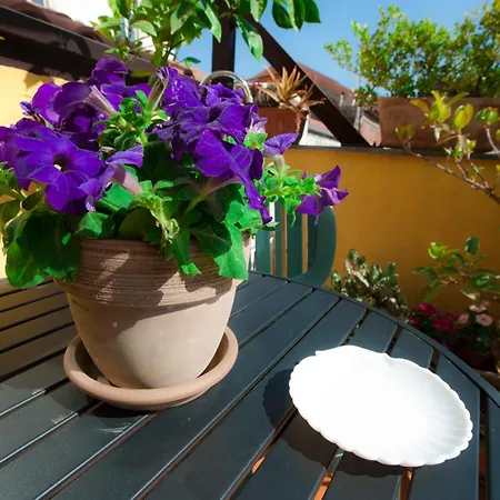 La Scala Bianca Apartmán