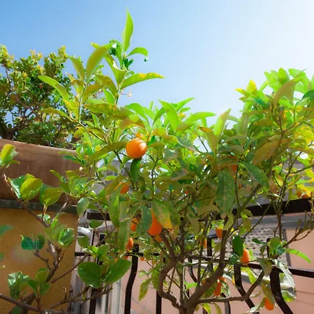 Апартаменты La Scala Bianca Катания