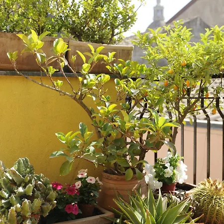 La Scala Bianca Apartment *