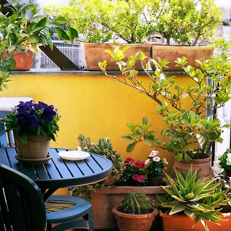 דירה La Scala Bianca