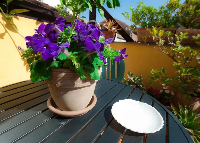 La Scala Bianca Apartmán