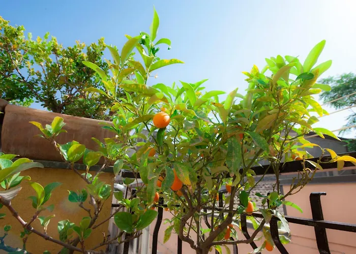 Daire La Scala Bianca Katanya