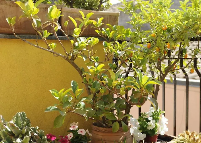 La Scala Bianca Апартаменты *